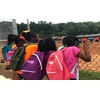 image:imageTrail maker 24 Pack 17 Inch Backpacks in Bulk Backpacks for Boys Girls School and Homeless DonationAssorted Girls 4 Color Pack