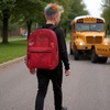 image:imageSummit Ridge Mesh Backpacks for Kids Adults School Beach and Travel Colorful Transparent Mesh Backpacks with Padded StrapsRed