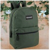 image:imageTrail maker Classic 17 inch Backpacks with Adjustable Padded Straps  School Backpacks for Girls Boys GreenGreen